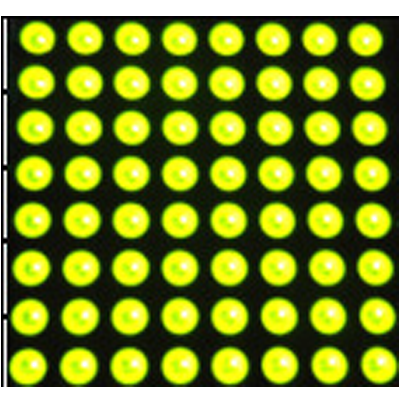 LED点阵 点阵 点阵模块 黄绿光 XR-D1588AG